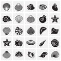 Sea Shell icons set on squres background for graphic and web design. Simple vector sign. Internet concept symbol for Royalty Free Stock Photo