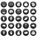 Sea shell icons set vetor black Royalty Free Stock Photo