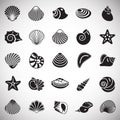 Sea Shell icons set on white background for graphic and web design. Simple vector sign. Internet concept symbol for Royalty Free Stock Photo