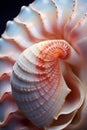 Sea shell macro. Generative ai