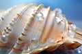 Sea shell macro. Generative ai