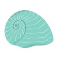 Sea shell. Marine conch, mollusc in seashell.