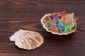 Sea shell with multicolored hydrogel balls macro Royalty Free Stock Photo