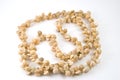 Sea Shell Necklace on white background Royalty Free Stock Photo