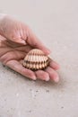 The sea shell in the palm of the woman