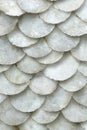 Sea Shell Pattern. Neutral Nature Background Royalty Free Stock Photo