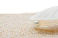 Sea shell with pearl Royalty Free Stock Photo