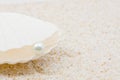 Sea shell with pearl Royalty Free Stock Photo