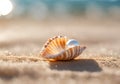 Sea shell with pearl on a sandy beach. Royalty Free Stock Photo