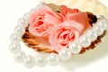 Sea shell with pearls and a rose Royalty Free Stock Photo