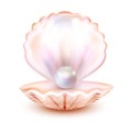 Sea shell realistic icon isolated on white background. Mother of pearl, oyster, clam. Finest quality. Vector Illustration.