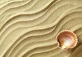 Sea shell sand background Royalty Free Stock Photo