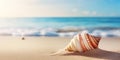 Sea shell on the sand on the beach with copy space. Concept of summer holidays Royalty Free Stock Photo