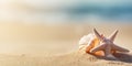 Sea shell on the sand on the beach with copy space. Concept of summer holidays Royalty Free Stock Photo