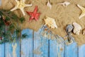 Sea shell on sand starfish summer winter vacation branch of Christmas tree on blue wooden with american hundred dollar bills Royalty Free Stock Photo