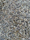 Sea Shell Sand Texture 1 Royalty Free Stock Photo