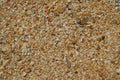 Sea shell sand texture. Summer beach background. Royalty Free Stock Photo