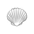 Sea shell, scallop sketch illustration. Seashell outline icon