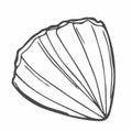 Sea shell, scallop vector sketch illustration. Seashell outline icon. Clam doodle. Scallop closed shell drawing