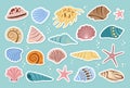 Sea shell scrapbook sticker diary cartoon set ocean exotic underwater aquatic mollusk sea label Royalty Free Stock Photo