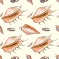 Sea shell seamless pattern. Royalty Free Stock Photo