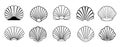 Sea shell set icons hand drawn sketch Vector illustration Royalty Free Stock Photo