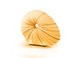 Sea shell shaped light glowing Royalty Free Stock Photo