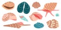 Sea shell, sink cartoon set. flat design illustration Royalty Free Stock Photo