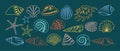 Sea shell sink doodle cartoon set ocean ornamental underwater aquatic mollusk snail marine design Royalty Free Stock Photo