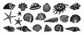 Sea shell sink engraving monochrome set ocean exotic underwater conch aquatic mollusk ink collection Royalty Free Stock Photo