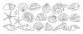 Sea shell sink linear doodle set ocean exotic underwater conch aquatic mollusk spiral snail marine Royalty Free Stock Photo
