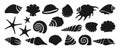 Sea shell sink stencil stamp set ocean exotic underwater conch aquatic mollusk snail marine seal Royalty Free Stock Photo