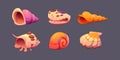 Sea shell and snail conch game icons.