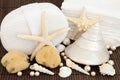 Sea Shell Spa Royalty Free Stock Photo