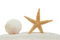 Sea shell and starfish on sand isolated Royalty Free Stock Photo