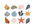 Sea shell vector icons in cartoon style. Set of mollusc. Ocean cockleshell. Royalty Free Stock Photo