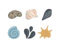 Sea shell vector icons in cartoon style. Set of clam mollusc. Ocean cockleshell. Royalty Free Stock Photo