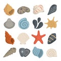 Sea shell vector icons in cartoon style. Set of mollusc. Ocean cockleshell. Royalty Free Stock Photo