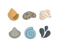 Sea shell vector icons in cartoon style. Set of mollusc. Ocean cockleshell. Royalty Free Stock Photo