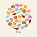 Sea shell vector illustration of color silhouettes Royalty Free Stock Photo