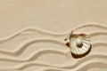 Sea shell with white pearl on sand background. Top view Royalty Free Stock Photo