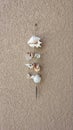 Sea Shell Windchime on Wall