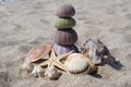 Sea Shells Royalty Free Stock Photo