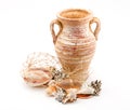 Sea shells Royalty Free Stock Photo