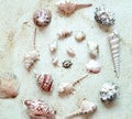 Sea Shells arranged in circle in sand. Top View