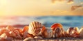 Sea shells Beach blurred beauty photo, copy space background Royalty Free Stock Photo