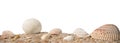 Sea shells. Beach sand with sea shells. Panorama of ocean beach. Summer concept for travel agency Royalty Free Stock Photo