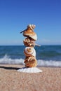 Sea shells on the beach. Sandy beach with waves. Summer vacation concept. Holidays by the sea Royalty Free Stock Photo