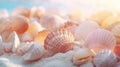 Sea shells on the beach with sunlight, AI