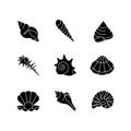 Sea shells black glyph icons set on white space Royalty Free Stock Photo